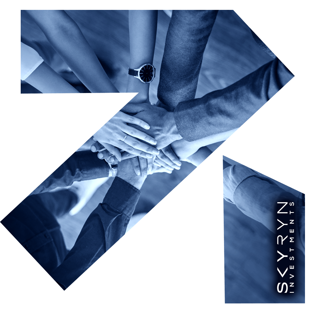 Why SKYRYN Investments exists