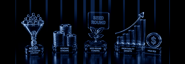 Seed round — monetisation and growth